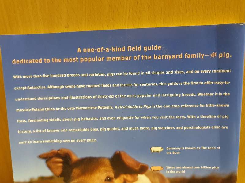 A Field Guide to Pigs - How to Identify and Appreciate 36 Breeds : John Pukite (Paperback)