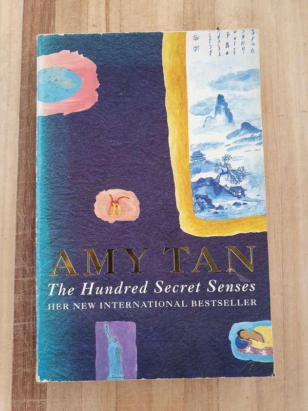 The Hundred Six Senses: Amy Tan (Paperback)