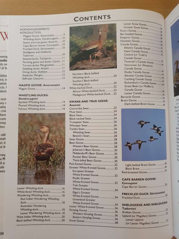 Photographic Handbook of The Wildfowl of The World: Malcolm Ogilvie and Steve Young (Hardcover)