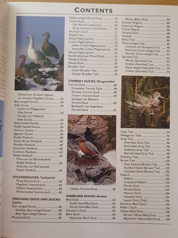 Photographic Handbook of The Wildfowl of The World: Malcolm Ogilvie and Steve Young (Hardcover)