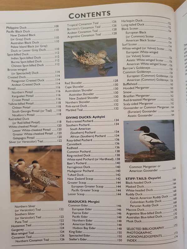 Photographic Handbook of The Wildfowl of The World: Malcolm Ogilvie and Steve Young (Hardcover)