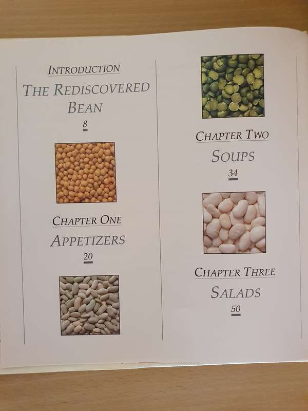 The Rediscovered Bean : Judith Choate (Hardcover)