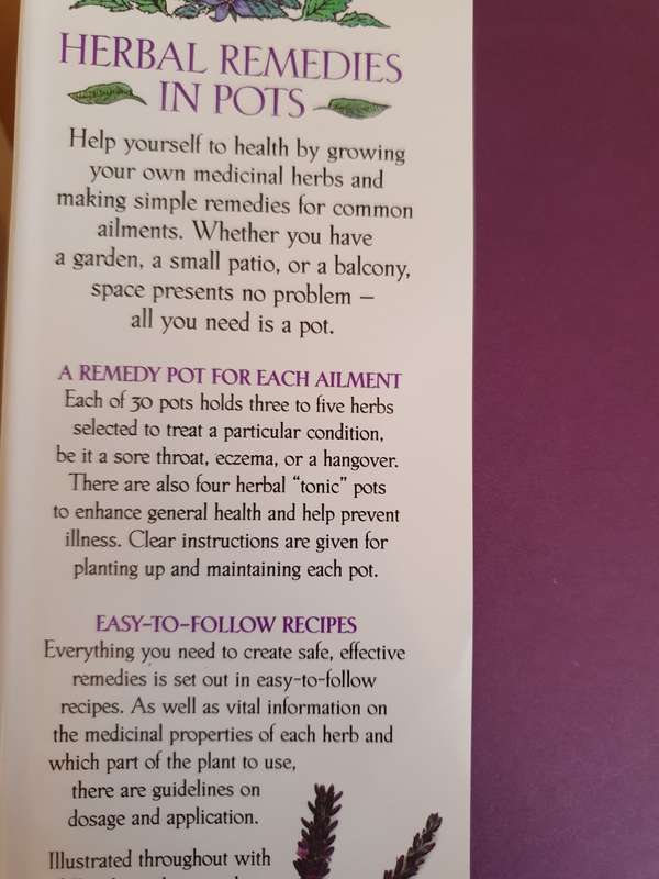 Herbal Remedies in Pots : Growing and Making Herbal Remedies: Effie Romain, Sue Hawkey
