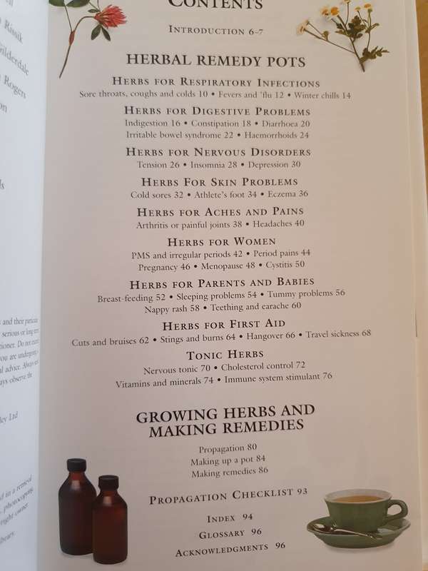 Herbal Remedies in Pots : Growing and Making Herbal Remedies: Effie Romain, Sue Hawkey