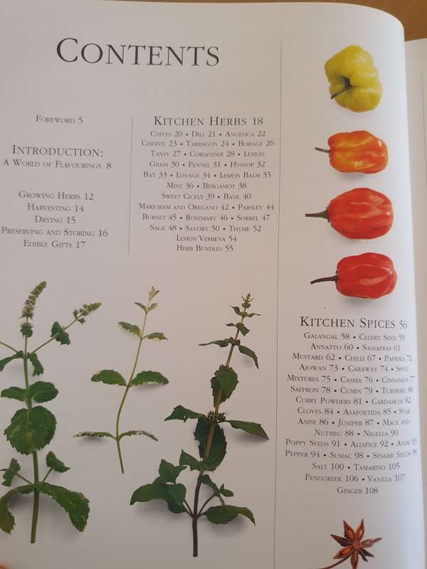 The Encyclopedia of Herbs Spices & Flavourings: Elisabeth Lambert Ortiz (Hardcover)