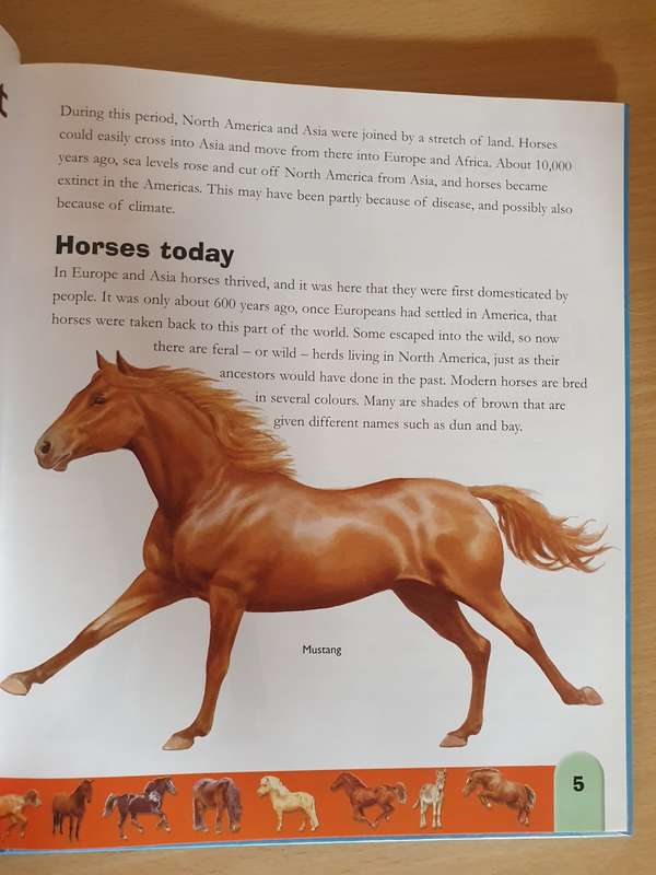 Horses Dictionary - An A to Z of Horses (Hardcover)