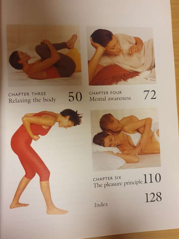 Relaxation - An Illustrated Programme for Exercises, Techniques and Meditations: Nitya Lacroix