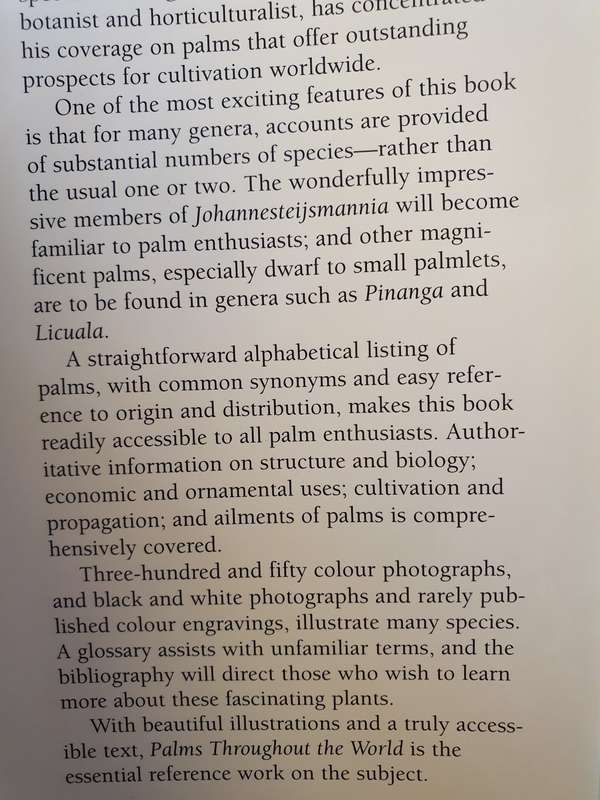 Palms Throughout the World : David L. Jones (Hardcover)