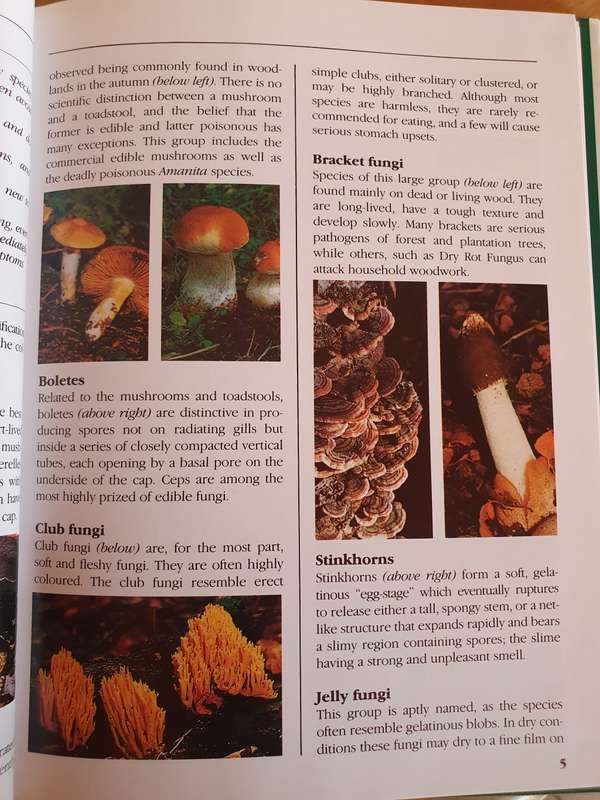 Mushrooms - The New Compact Study Guide and Identifier: David Pegler & Brian Spooner (Hardcover)