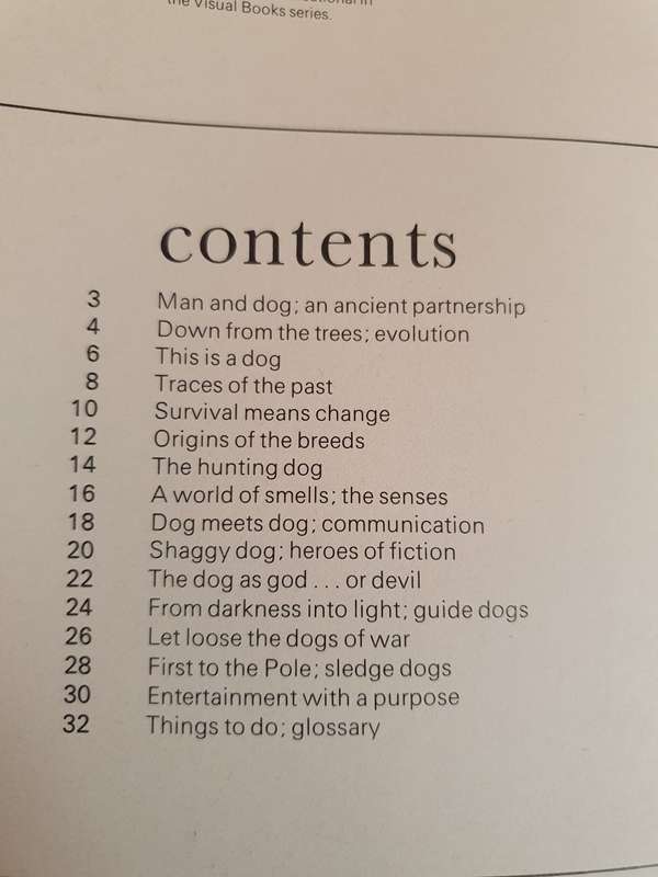 The Super Book of Dogs (Paperback)