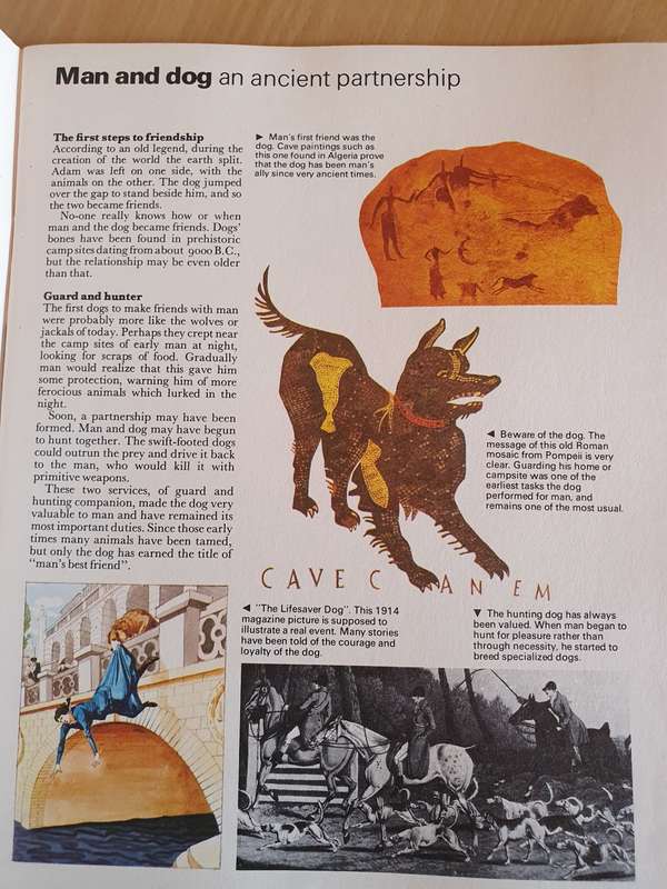 The Super Book of Dogs (Paperback)