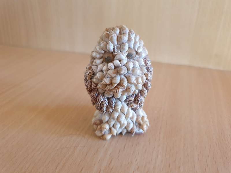 Small Shell Owl Figurine  (7cm x 5cm)