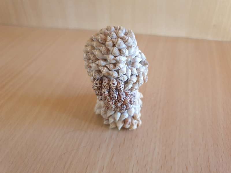 Small Shell Owl Figurine  (7cm x 5cm)