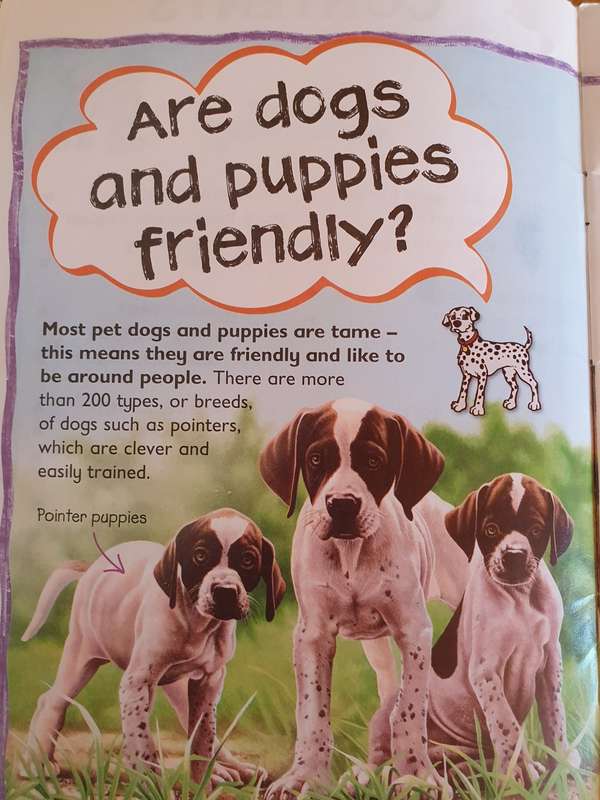 Miles Kelly Little Press - Dogs & Puppies