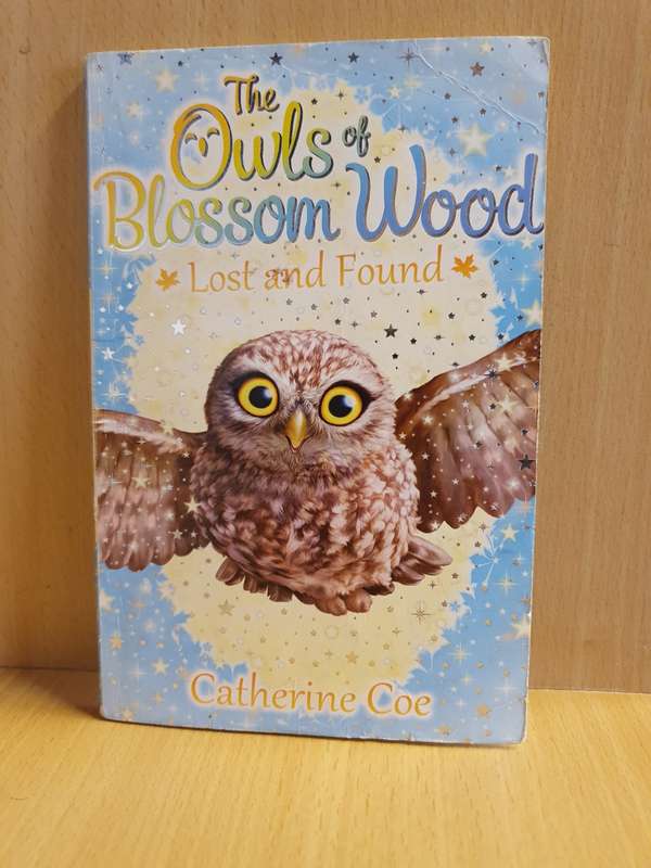 The Owls of Blossom Wood - Lost and Found: Catherine Coe (Paperback)