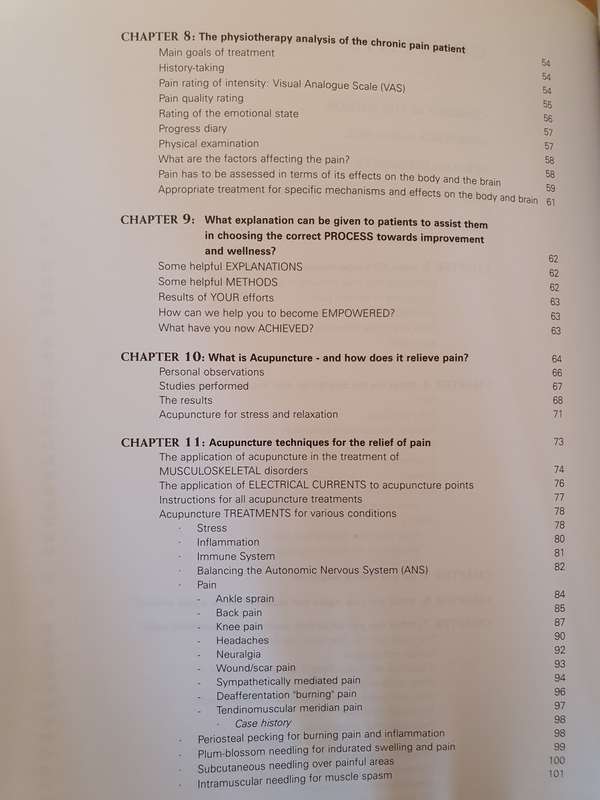 The Journey to Pain Relief : Phyllis Berger (Paperback)