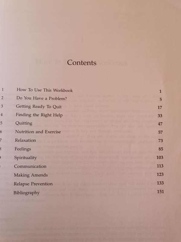 The Addiction Workbook : A Step-by Step Guide to Quitting Alcohol & Drugs: P. Fanning, J. O`Neill