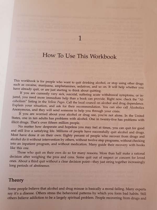 The Addiction Workbook : A Step-by Step Guide to Quitting Alcohol & Drugs: P. Fanning, J. O`Neill