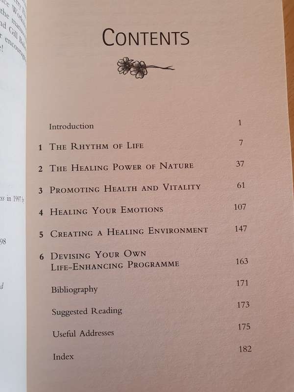 Natural Healing : Chrissie Wildwood (Paperback)
