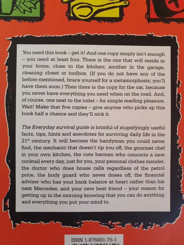 Everyday Survival Guide : Lindie Metz & Jennifer Swartz (Paperback)