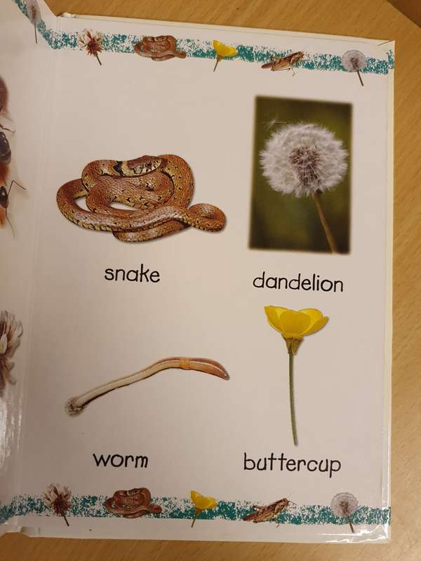 My First Word Book - In the Garden (Board Book)