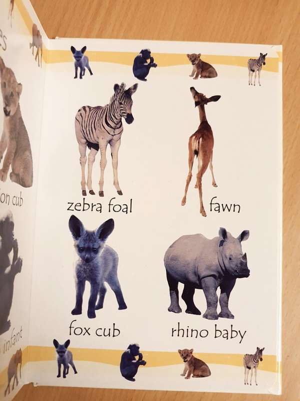 My First Word Book - Safari (Board Book)