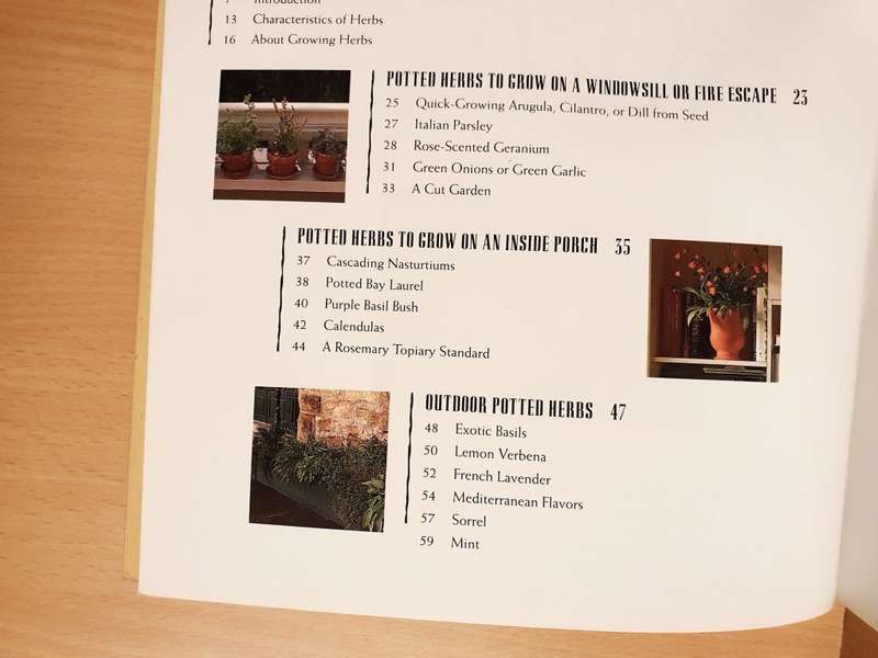 Little Herb Gardens : Georgeanne Brennan and Mimi Luebbermann (Paperback)