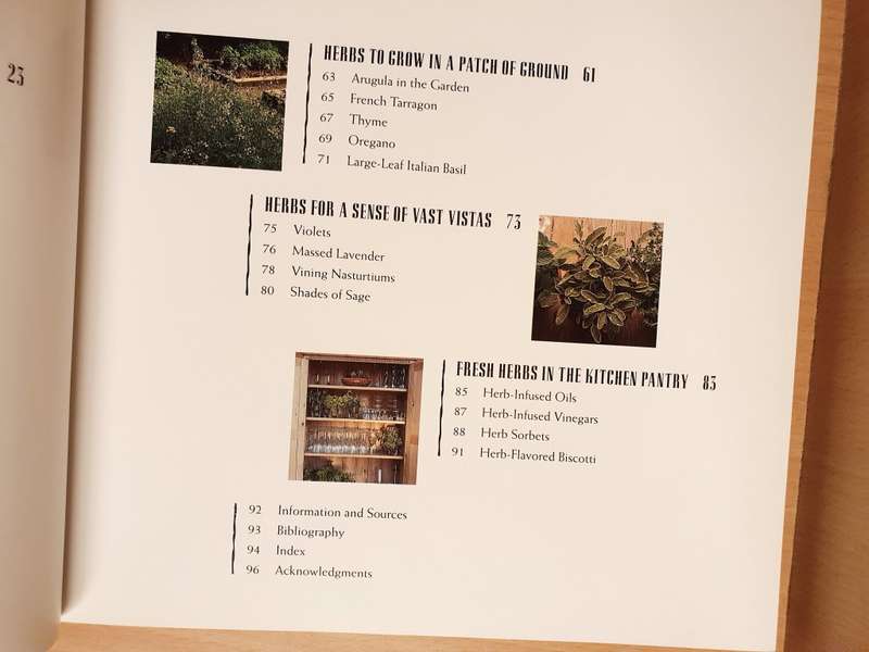 Little Herb Gardens : Georgeanne Brennan and Mimi Luebbermann (Paperback)