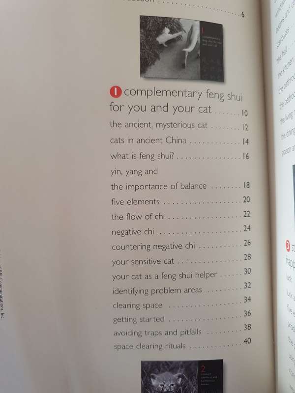Feng Shui - For you and your cat: Alison Daniels (Paperback)