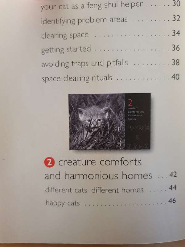 Feng Shui - For you and your cat: Alison Daniels (Paperback)