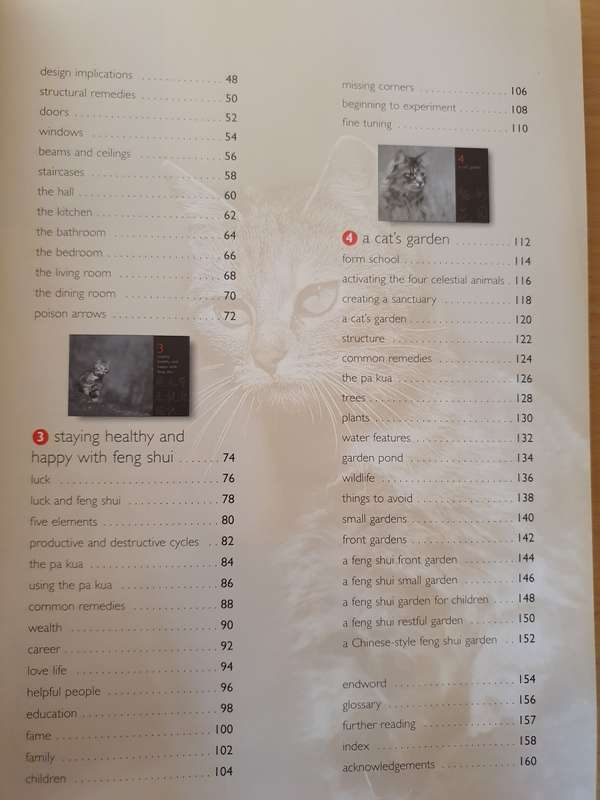 Feng Shui - For you and your cat: Alison Daniels (Paperback)
