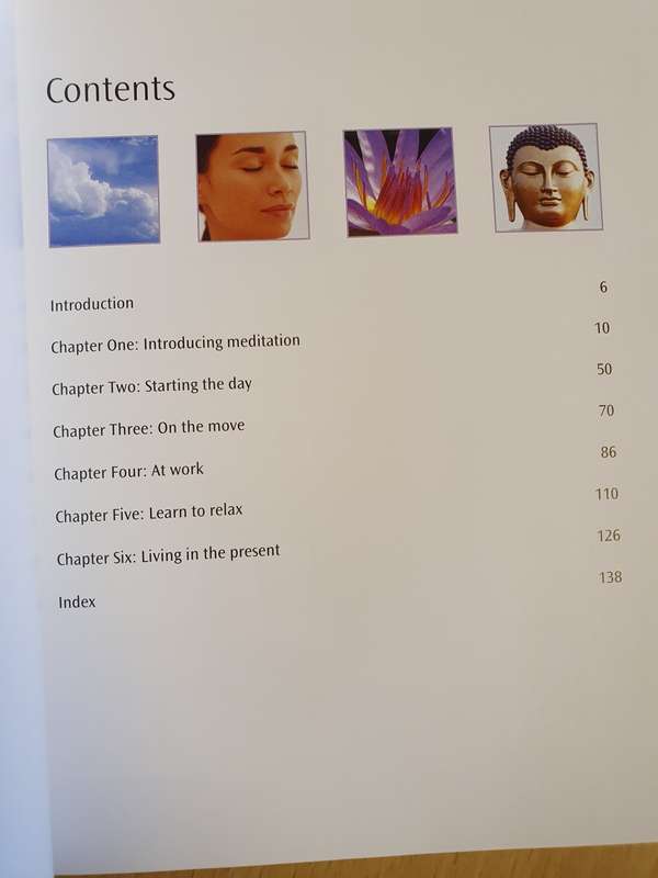 A Gaia Busy Person`s Guide - Meditation (Simple routines for home, work, travel) Christina Rodenbeck
