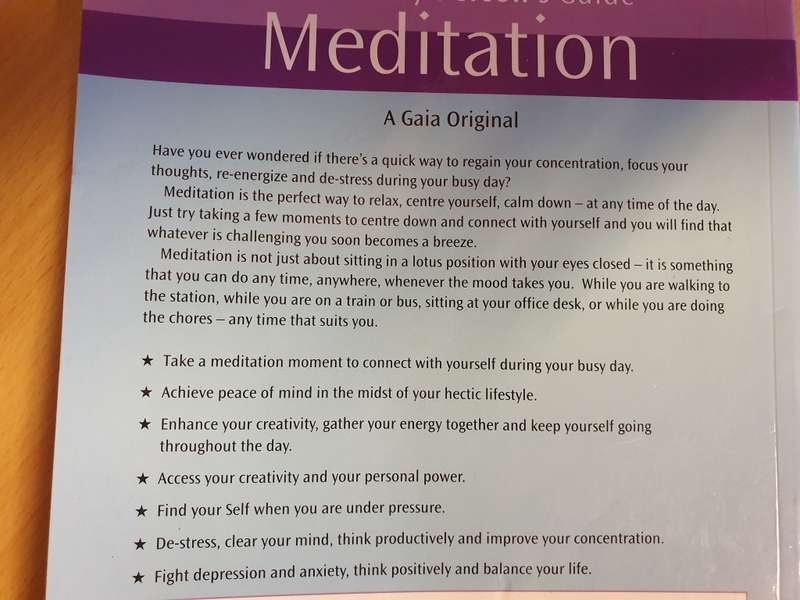 A Gaia Busy Person`s Guide - Meditation (Simple routines for home, work, travel) Christina Rodenbeck