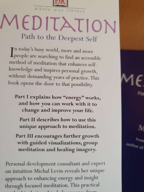 Meditation - Path to the Deepest Self: Michal Levin (Paperback)