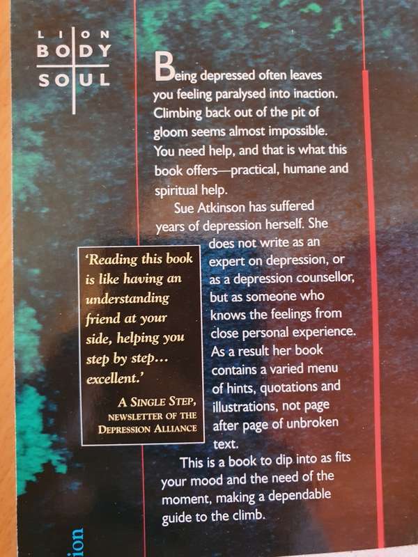 Climbing out of Depression: Sue Atkinson (Paperback)
