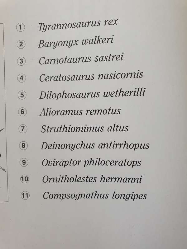 The Great Dinosaurs - From the Triassic Through Jurassic to Cretaceous (Hardcover)
