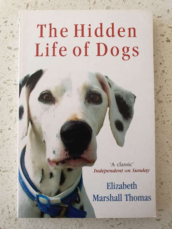 The Hidden Life of Dogs: Elizabeth Marshall Thomas (Paperback)