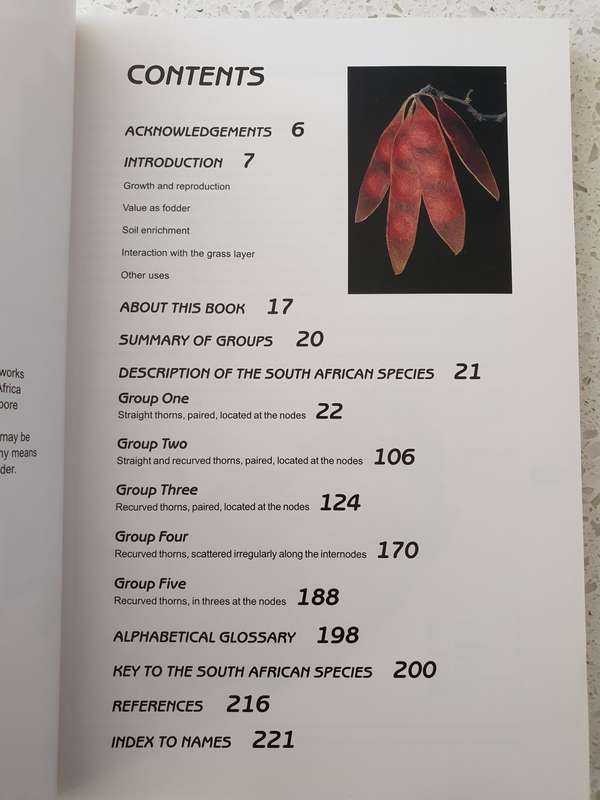 Guide to Acacias of South Africa: Nico Smit (Paperback)