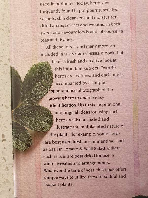 The Magic of Herbs: Jane Newdick (Hardcover)