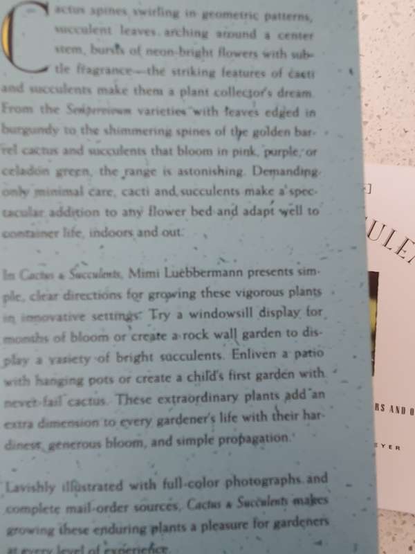 Cactus & Succulents - Simple Secrets for Glorious Garden, Indoors & Outdoors: Mimi Luebberman