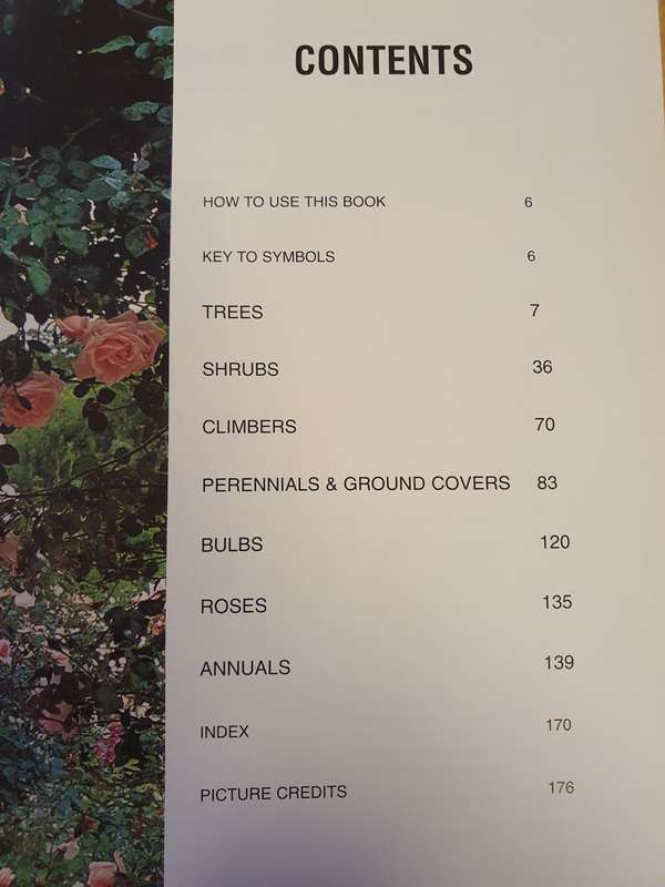Garden with Plants & Flowers: Keith Kirsten (Paperback)