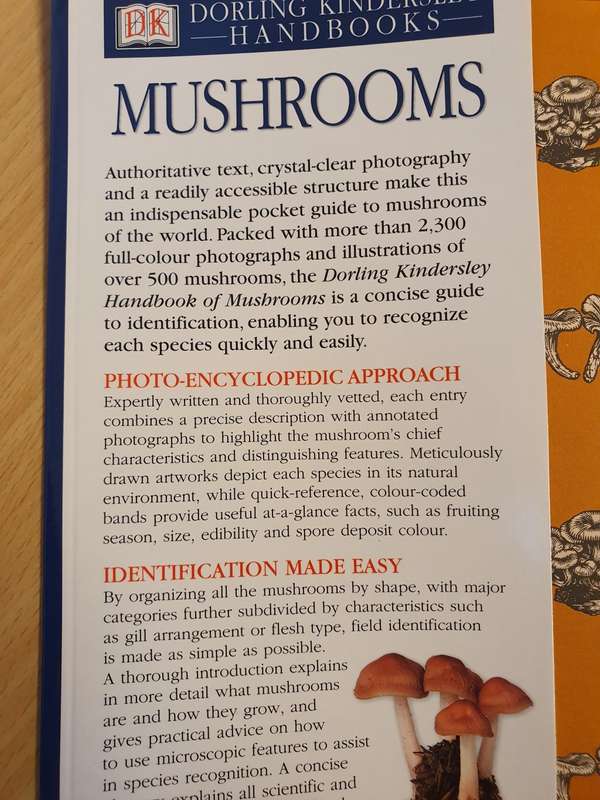 DK - Mushrooms : Thomas Laessoe