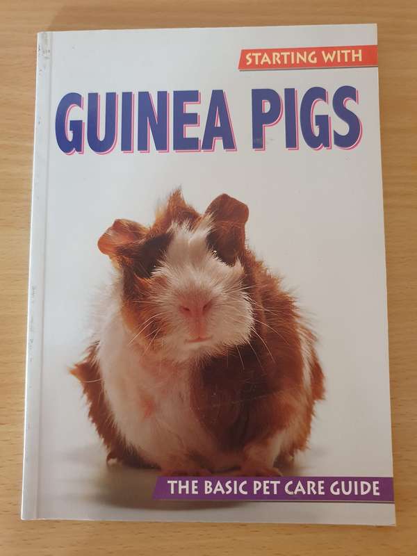 Guinea Pigs - The Basic Pet Care Guide (Paperback)