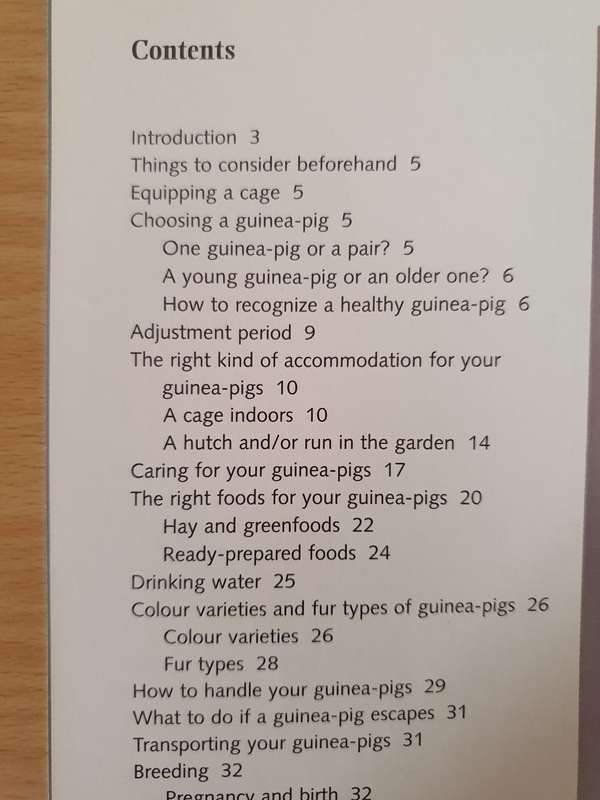 Guinea Pigs - The Basic Pet Care Guide (Paperback)