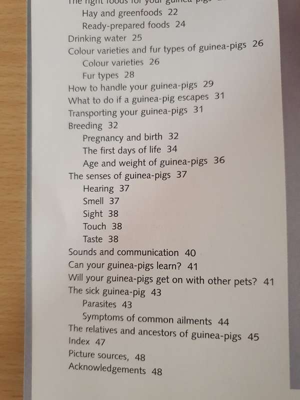 Guinea Pigs - The Basic Pet Care Guide (Paperback)