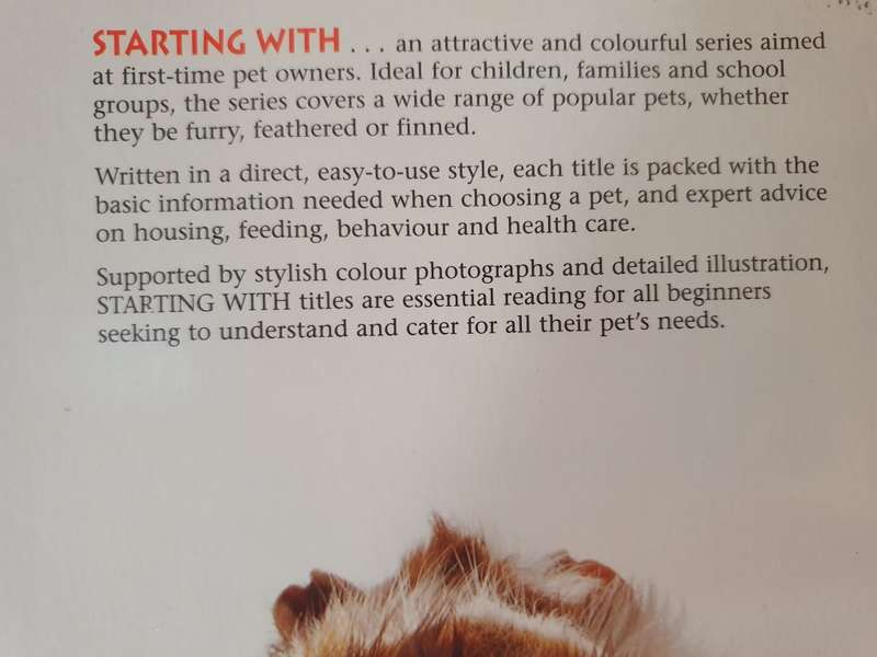 Guinea Pigs - The Basic Pet Care Guide (Paperback)