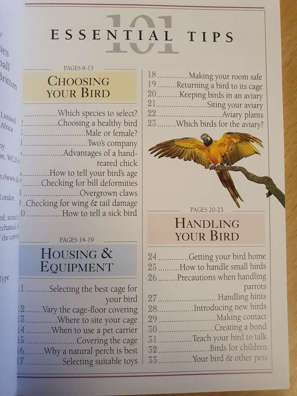 101 Essential Tips - Caring for your Pet Bird: David Alderton (Paperback)