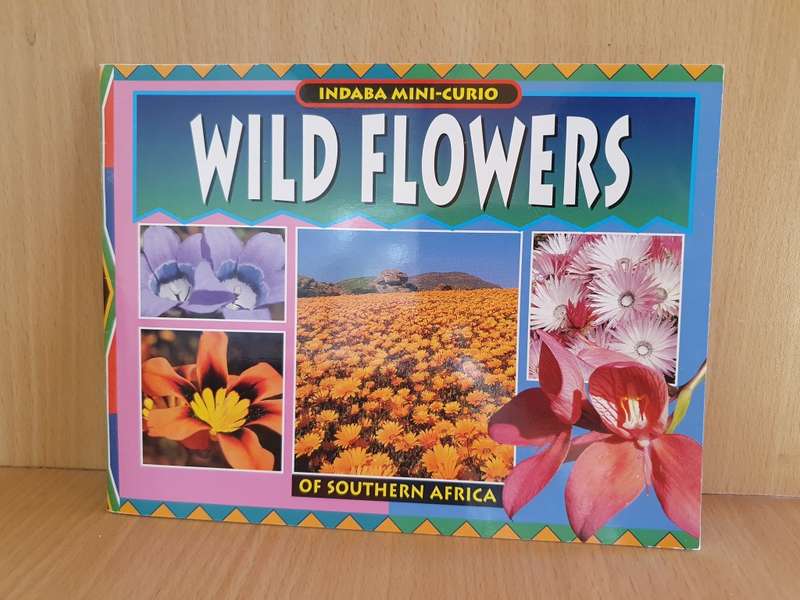 Indaba Mini-Curio - Wildflowers of Southern Africa (Paperback)