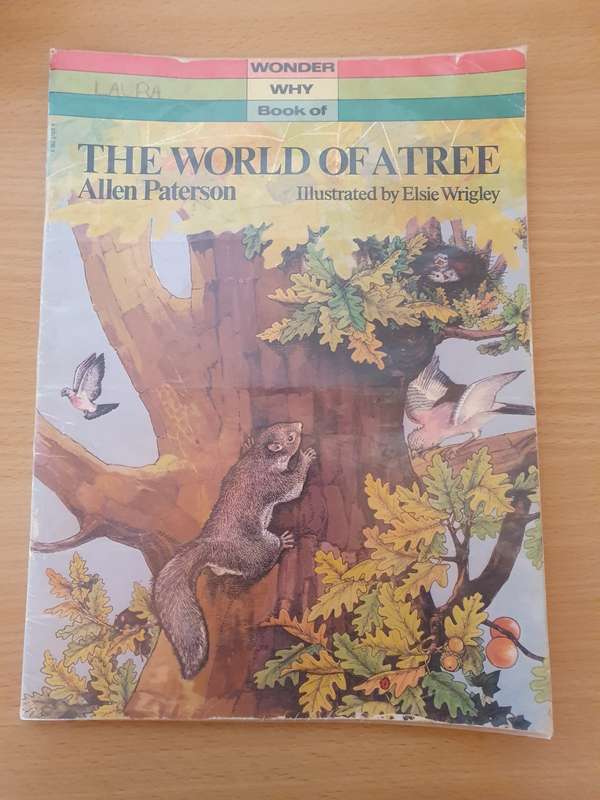 Wonder Why Book of -The World of a Tree: Allen Paterson (Paperback)