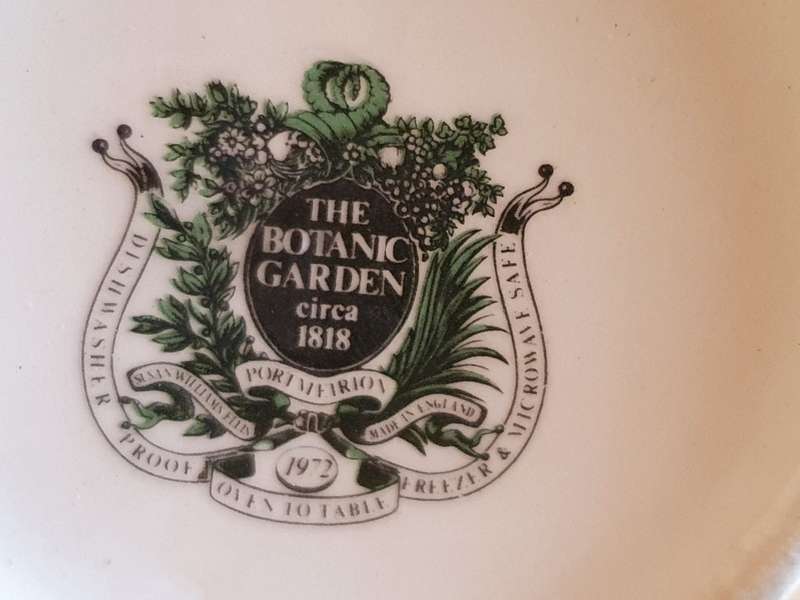 Floral Ceramic Vase - The Botanic Garden (height 17cm width 7cm)